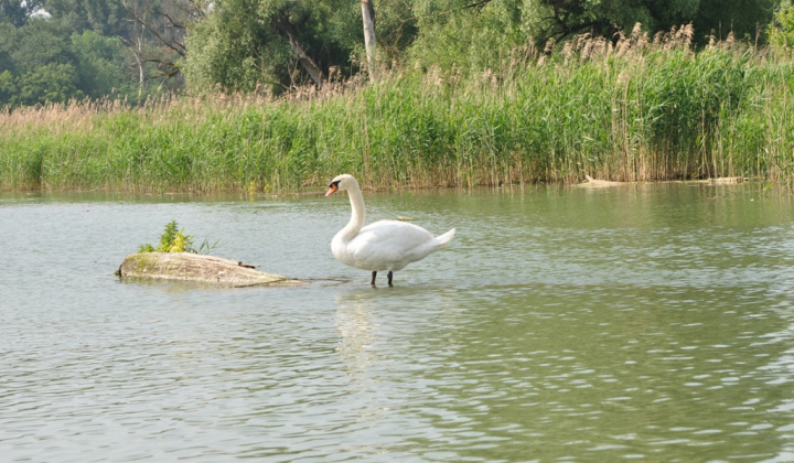 Zobraziť fotografiu